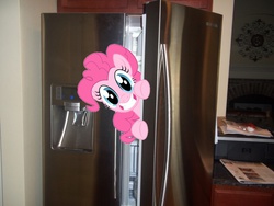 Size: 1200x900 | Tagged: safe, pinkie pie, earth pony, pony, g4, irl, photo, ponies in real life, pony in fridge, refrigerator, vector