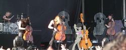 Size: 3264x1305 | Tagged: safe, octavia melody, earth pony, pony, g4, apocalyptica, cello, irl, musical instrument, photo, ponies in real life, vector