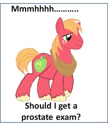 Size: 615x728 | Tagged: safe, big macintosh, earth pony, pony, g4, implied prostate exam, male, stallion