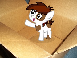 Size: 1200x900 | Tagged: safe, pipsqueak, pony, g4, box, irl, photo, ponies in real life, pony in a box, vector