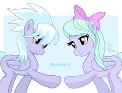 Size: 1450x1100 | Tagged: safe, artist:joakaha, cloudchaser, flitter, pegasus, pony, g4, abstract background, duo, duo female, female, mare, raised hoof, signature, smiling, standing