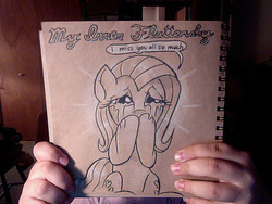 Size: 640x480 | Tagged: safe, artist:docwario, fluttershy, pegasus, pony, g4, covering mouth, crying, female, mare, sad, sitting, solo, speech bubble, teary eyes, traditional art