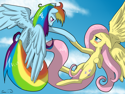 Size: 1600x1200 | Tagged: safe, artist:tomat-in-cup, fluttershy, rainbow dash, pegasus, pony, g4, blushing, cloud, duo, female, holding hooves, lesbian, ship:flutterdash, shipping, signature