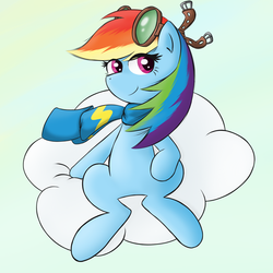 Size: 1000x1000 | Tagged: dead source, safe, artist:spaerk, rainbow dash, pegasus, pony, g4, clothes, female, goggles, scarf, solo