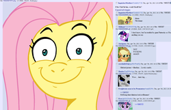 Size: 1465x942 | Tagged: safe, fluttershy, g4, death, meta, ponychan, ponychan screencap