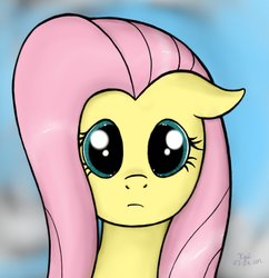 Size: 890x919 | Tagged: safe, artist:xyi, fluttershy, pegasus, pony, g4, bust, female, floppy ears, front view, full face view, looking at you, mare, portrait, solo