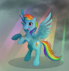 Size: 1000x1032 | Tagged: safe, artist:c-puff, rainbow dash, pony, g4, female, solo