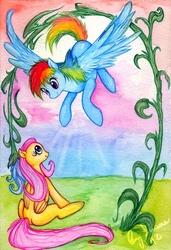 Size: 648x950 | Tagged: safe, artist:suane, fluttershy, rainbow dash, g4