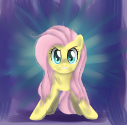 Size: 943x932 | Tagged: safe, artist:maplesunrise, fluttershy, pony, g4, solo, the stare
