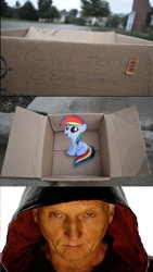 Size: 831x1470 | Tagged: safe, rainbow dash, pegasus, pony, fanfic:my little dashie, g4, dashie meme, evil people finding dash meme, exploitable meme, jigsaw, john kramer, meme, saw (movie), this will end in death, this will end in tears and/or death