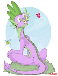 Size: 2549x3299 | Tagged: safe, artist:artistdragon, spike, butterfly, dragon, g4, grass, high res, male, older, older spike, solo