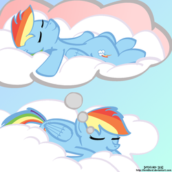 Size: 1000x1000 | Tagged: safe, artist:invidlord, rainbow dash, pony, g4, dream, sleeping, solo