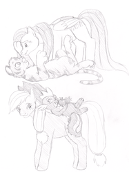 Size: 746x1000 | Tagged: safe, artist:kourabiedes, applejack, fluttershy, spike, big cat, tiger, g4, monochrome