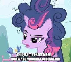 Size: 648x566 | Tagged: safe, edit, edited screencap, screencap, twilight sparkle, pony, friendship is magic, g4, caption, messy mane, solo, twilight poofle