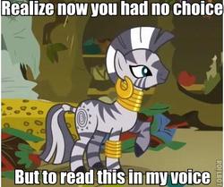 Size: 423x353 | Tagged: safe, edit, edited screencap, screencap, zecora, zebra, bridle gossip, g4, caption, image macro, read this in x's voice, roflbot, solo