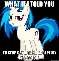 Size: 400x414 | Tagged: safe, dj pon-3, vinyl scratch, pony, unicorn, g4, caption, image macro, looking at you, meme, text, trollbait