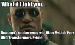 Size: 500x303 | Tagged: safe, human, barely pony related, image macro, irl, morpheus, photo, the matrix, transformers
