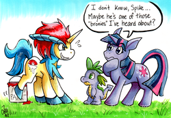 Size: 700x484 | Tagged: safe, artist:chu, spike, twilight sparkle, dragon, keldeo, pony, unicorn, g4, crossover, dialogue, fake cutie mark, paint, paint bucket, pokémon, traditional art, trio, unicorn twilight