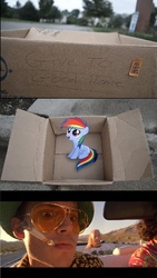 Size: 831x1470 | Tagged: safe, rainbow dash, pegasus, pony, fanfic:my little dashie, g4, dashie meme, exploitable meme, fear and loathing in las vegas, meme, raoul duke