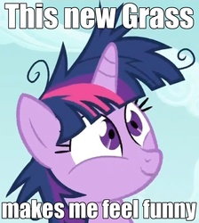 Size: 647x722 | Tagged: safe, twilight sparkle, g4, drugs, high, image macro, insanity, solo, twilight snapple