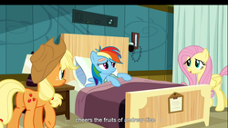 Size: 1366x768 | Tagged: safe, screencap, applejack, fluttershy, rainbow dash, g4, read it and weep, youtube caption