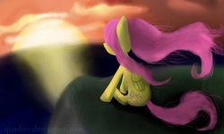 Size: 3000x1800 | Tagged: safe, artist:quadice, fluttershy, pony, g4, female, solo