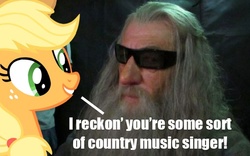 Size: 578x360 | Tagged: safe, applejack, g4, luna eclipsed, country music singer, gandalf, lord of the rings