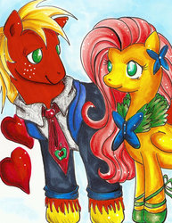 Size: 471x610 | Tagged: safe, artist:wetpaint, big macintosh, fluttershy, earth pony, pony, g4, clothes, dress, gala dress, male, ship:fluttermac, shipping, stallion, straight, traditional art