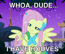 Size: 708x588 | Tagged: safe, edit, edited screencap, screencap, fluttershy, pegasus, pony, g4, caption, female, high, image macro, mare, solo