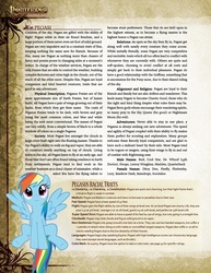 Size: 804x1044 | Tagged: safe, artist:fightingfire, rainbow dash, pegasus, pony, ponyfinder, g4, dungeons and dragons, pathfinder, pen and paper rpg, rpg, tabletop game, wall of text