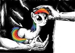 Size: 4931x3514 | Tagged: safe, artist:smellslikebeer, rainbow dash, human, pony, g4, black and white, blank flank, crosshatch, grayscale, holding a pony, human on pony petting, ink, looking up, monochrome, neo noir, partial color, petting, prone, traditional art, wingless