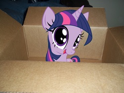 Size: 1200x900 | Tagged: safe, twilight sparkle, pony, g4, box, irl, photo, ponies in real life