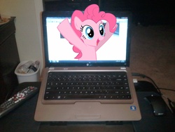 Size: 1200x900 | Tagged: source needed, safe, pinkie pie, earth pony, pony, g4, breaking the fourth wall, computer, female, fourth wall destruction, irl, laptop computer, mare, microsoft windows, photo, pinkie being pinkie, ponies in real life, vector, windows 7