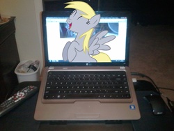 Size: 1200x900 | Tagged: safe, derpy hooves, pony, g4, breaking the fourth wall, computer, irl, laptop computer, microsoft windows, photo, ponies in real life, vector, windows 7
