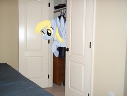 Size: 1200x900 | Tagged: safe, derpy hooves, pony, g4, irl, photo, ponies in real life, vector