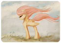 Size: 800x568 | Tagged: safe, artist:cosmicunicorn, fluttershy, pony, g4, beautiful, eyes closed, female, solo, windswept mane