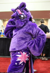 Size: 424x624 | Tagged: safe, twilight sparkle, human, g4, cosplay, fursuit, irl, irl human, photo