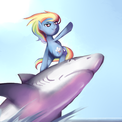 Size: 600x600 | Tagged: source needed, useless source url, safe, artist:karzahnii, rainbow dash, shark, g4, female