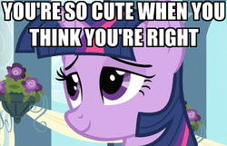 Size: 500x322 | Tagged: safe, twilight sparkle, g4, caption, image macro, reaction image