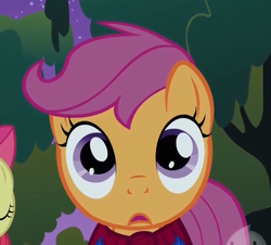 Size: 443x401 | Tagged: safe, edit, edited screencap, screencap, apple bloom, scootaloo, g4, season 1, stare master, cropped, female, filly, foal, solo focus