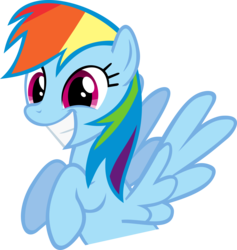 Size: 4500x4753 | Tagged: safe, artist:obtuselolcat, rainbow dash, pegasus, pony, g4, absurd resolution, cute, dashabetes, female, grin, happy, recolor, simple background, smiling, solo, transparent background, vector