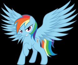 Size: 800x673 | Tagged: safe, rainbow dash, pegasus, pony, g4, black background, feather, female, looking at you, simple background, smiling, solo, spread wings, wings