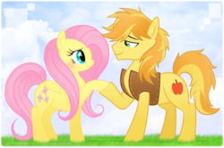 Size: 900x599 | Tagged: safe, artist:mn27, braeburn, fluttershy, earth pony, pegasus, pony, g4, blushing, clothes, female, male, mare, ship:braeshy, shipping, smiling, stallion, straight, vest, why not