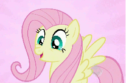 Size: 955x631 | Tagged: safe, screencap, fluttershy, pegasus, pony, g4, may the best pet win, season 2, all new, animated, blinking, cute, eye shimmer, female, happy, hub logo, pink background, shyabetes, simple background, spread wings, text, wings