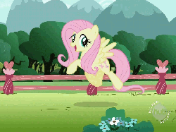 Size: 800x600 | Tagged: safe, screencap, fluttershy, pegasus, pony, g4, may the best pet win, season 2, animated, cute, female, gif, hub logo, looking at you, mare, outdoors, prancing, shyabetes, solo, spread wings, wings