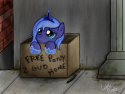 Size: 597x449 | Tagged: safe, artist:littlepirate, princess luna, pony, g4, abandoned, artifact, box, female, misspelling, sad, solo, woona