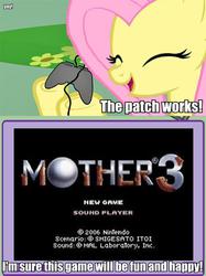 Size: 563x752 | Tagged: safe, fluttershy, pegasus, pony, g4, exploitable meme, female, gamershy, mare, meme, mother 3, this will end in tears, tv meme