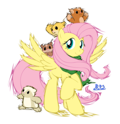 Size: 2205x2283 | Tagged: safe, artist:blue-paint-sea, fluttershy, pony, g4, female, high res, ponykart, solo