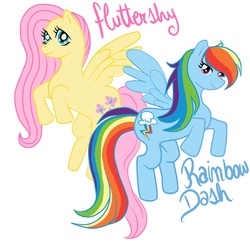 Size: 850x830 | Tagged: safe, artist:xmembrillita, fluttershy, rainbow dash, g4, female, simple background, white background