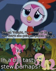 Size: 485x617 | Tagged: safe, fluttershy, pinkie pie, g4, chicken suit, clothes, image macro